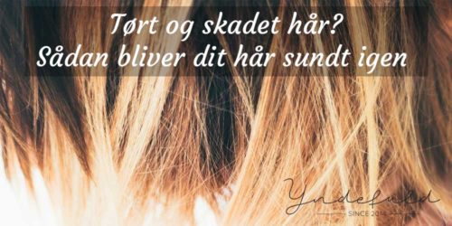 Tørt og skadet hår? Sådan bliver dit hår sundt igen