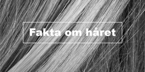 Fakta om håret